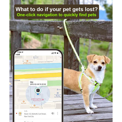 Traceur d'animaux NFC